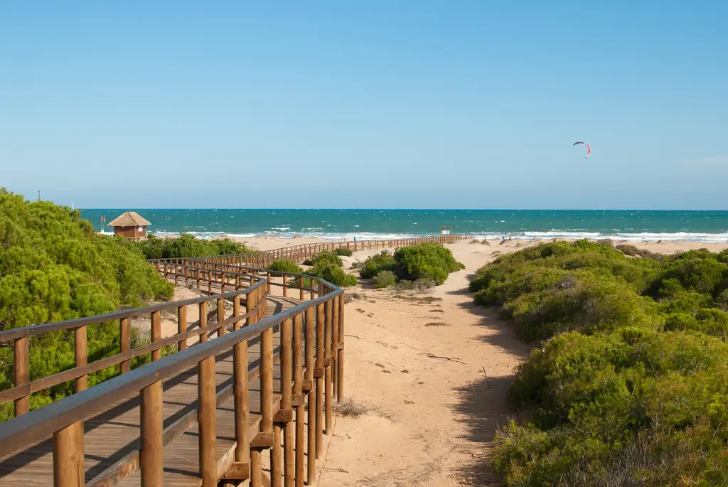 Playas de Elche, foto de Aete.org