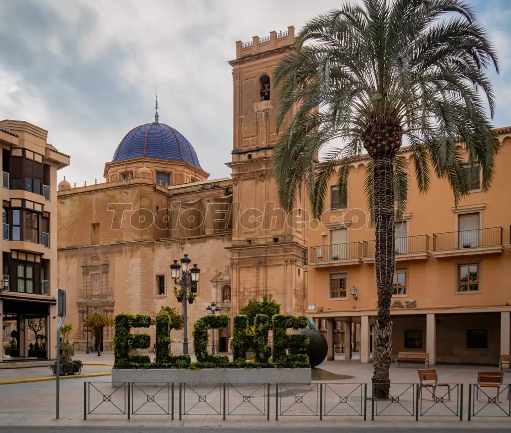 Imprescindibles que ver en Elche