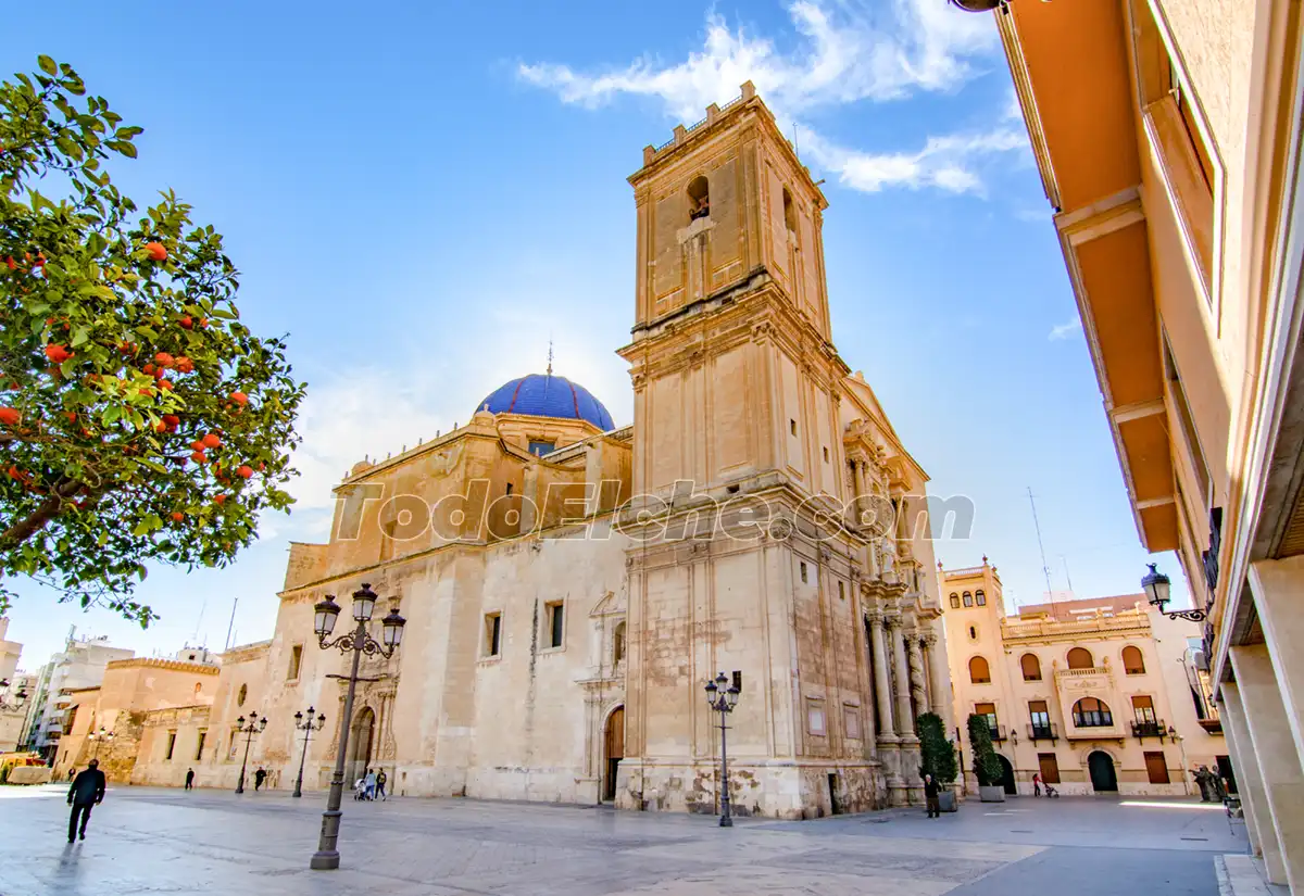 Basílica de Santa María, Elche