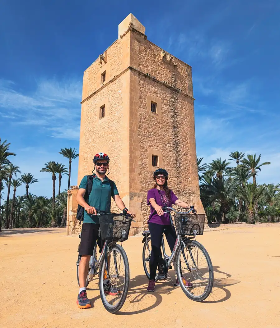 Torre de los Vaillo, Elche