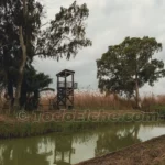 Torre de observación en el P.N. El Hondo