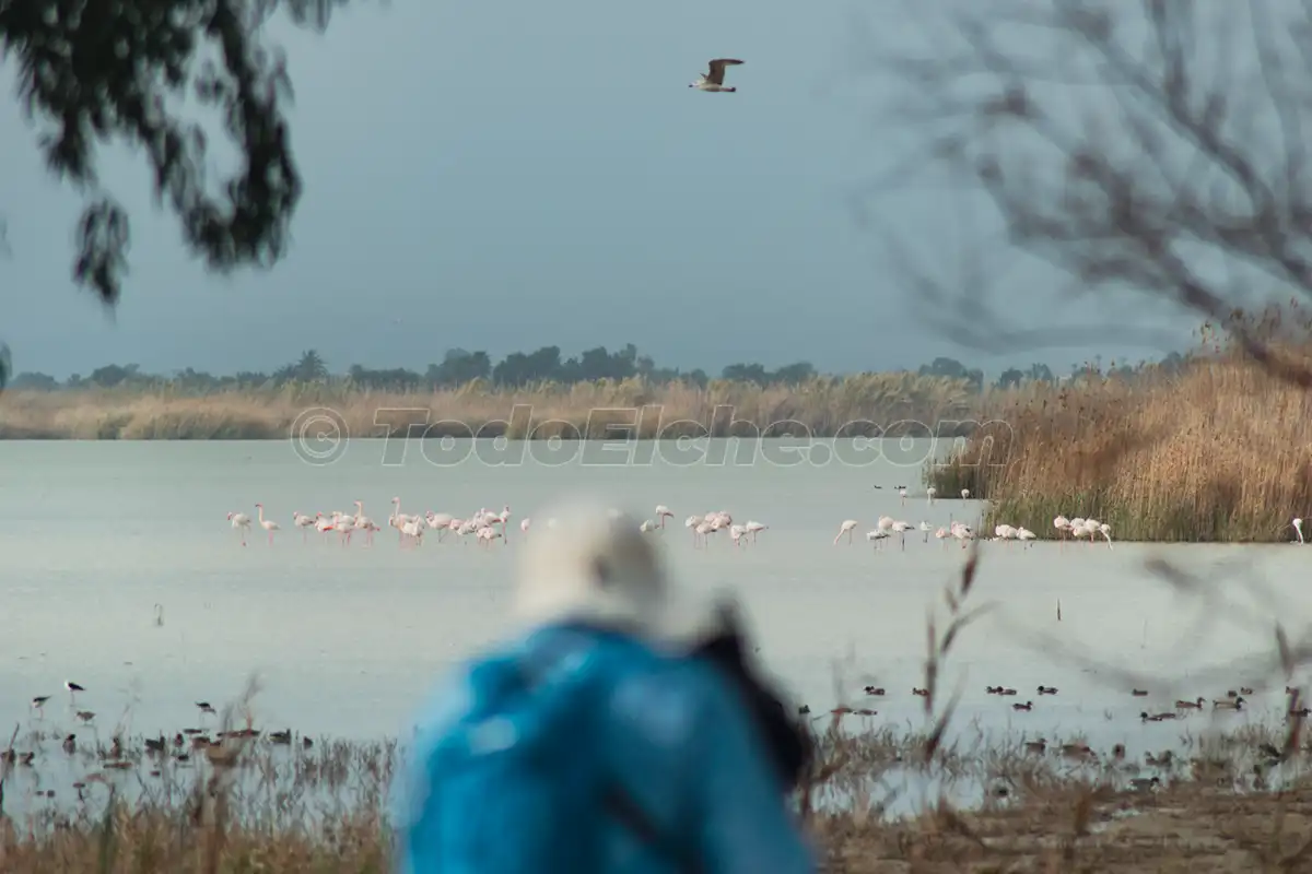 Observación de aves en el P.N. El Fondo