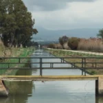 Canal de Riegos de Levante en El Hondo