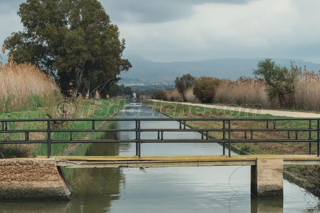 Canal de Riegos de Levante en El Hondo