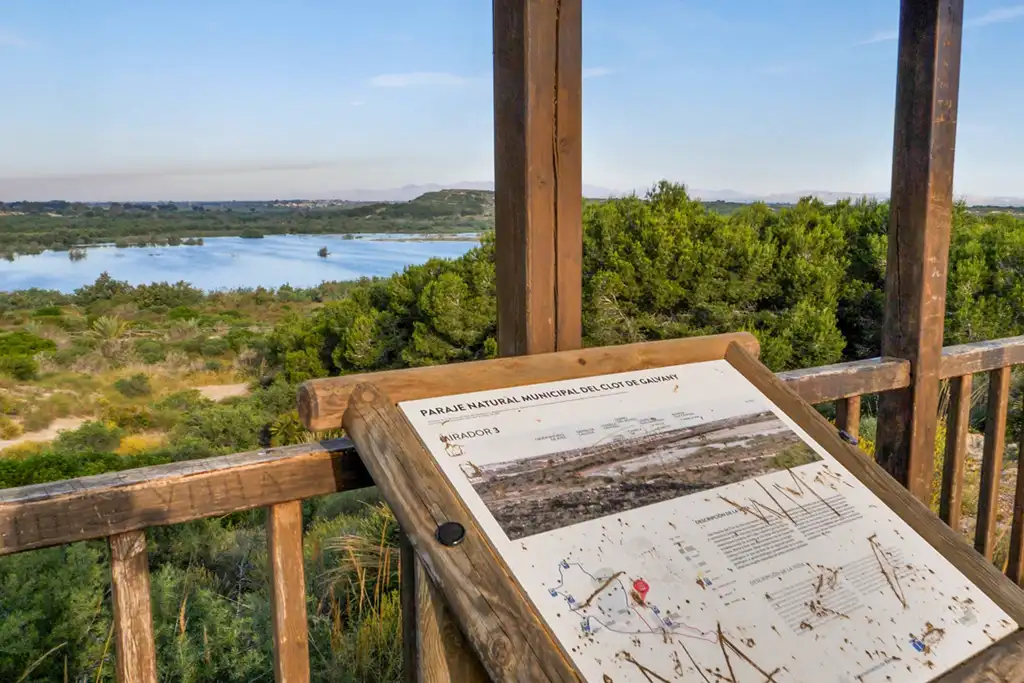 El Clot de Galvany, Elche